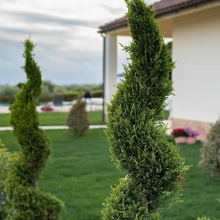Solea Villa *